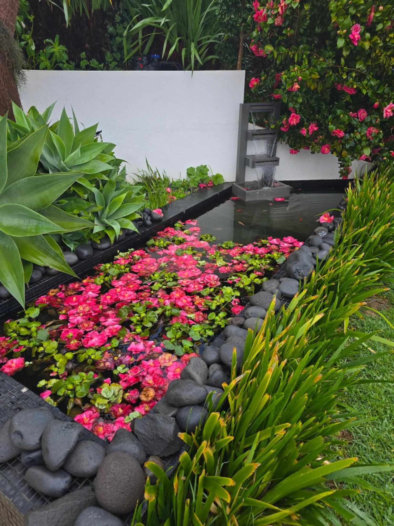Horizon Retreat Apartment Calheta  Exterior photo